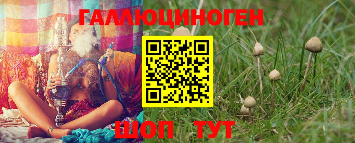 Красноярск  Псилоцибиновые грибы GOLDEN TEACHER  Вход с VPN 